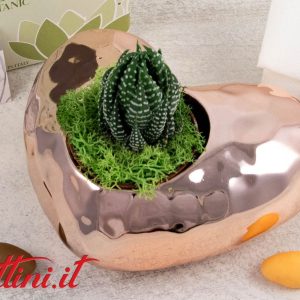 Vaso Cuore Oro orizzontale con Piantina – 25142P Claraluna
