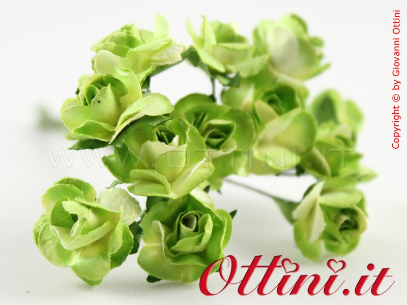 Fiore Rosellina Verde - immagine 2