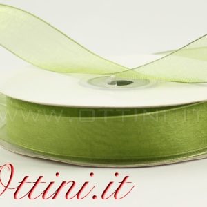 Rotolo Nastro Verde Medio 20mm Organza