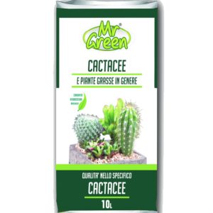 Terriccio per piante grasse e cactus
