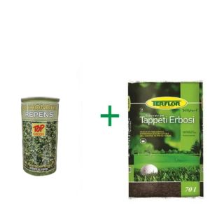 Seme di dicondra con terriccio per tappeto erboso