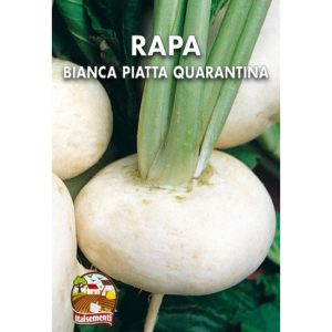 Semi di rapa bianca piatta quarantina – Italsementi