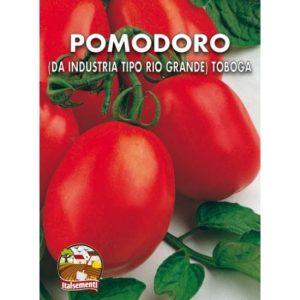 Semi di pomodoro Rio Grande (da industria) – Italsementi