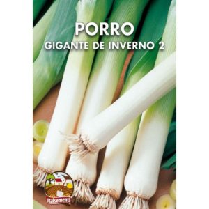 Semi di porro Geant d’Hiver – Italsementi
