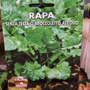 Semi di rapa senza testa o broccoletto all’olio – Italsementi