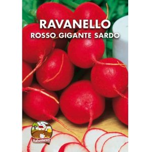 Semi di ravanello rosso gigante sardo – Italsementi