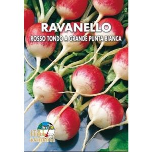 Semi di ravanello rosso tondo a piccola punta bianca – Italsementi