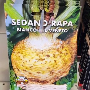 Semi di Sedano Rapa Bianco del Veneto – Croccantezza e gusto delicato!