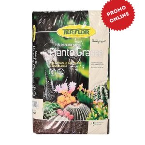 Terriccio per piante grasse 5 litri – Substrato drenante Terflor per cactus e succulente